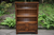 A JAYCEE CARVED OAK 'AUTUMN GOLD' BOOKCASE SHELVES DISPLAY CABINET CUPBOARD.