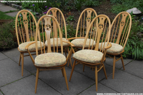 A SET OF SIX ERCOL LIGHT ELM SWAN BACK KITCHEN DINING TABLE CHAIRS SEAT CUSHIONS ARMCHAIRS