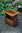 A TITCHMARSH AND GOODWIN CARVED OAK MAGAZINE RACK / STAND / COFFEE TABLE